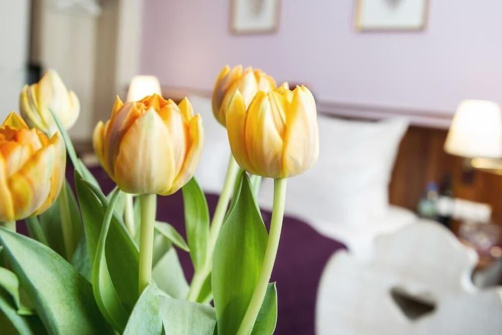 Hotel Elch Boutique Nuremberg Luaran gambar