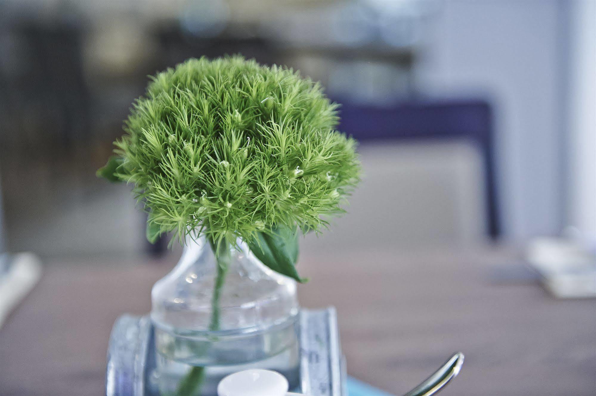 Hotel Elch Boutique Nuremberg Luaran gambar
